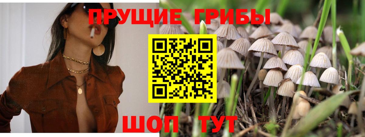 Галлюциногенные грибы ЛСД Лабинск